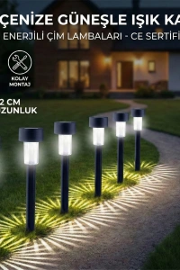 Güneş Enerjili Bahçe Lambası Plastik Saplama 10lu Set