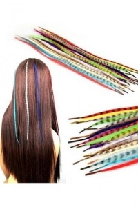 Hair Feather Saç Tüyü - Asorti
