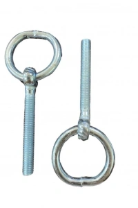 Halkalı Civata 6 mm 2 Adet