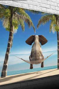 Hamaktaki Fil Kanvas Tablo 50 x 70