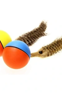 Hareketli Rakun Kedi Köpek Oyuncak