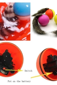 Hareketli Rakun Kedi Köpek Oyuncak