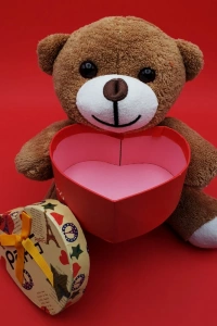 Hediyelik Kahverengi Kutulu Ayıcık