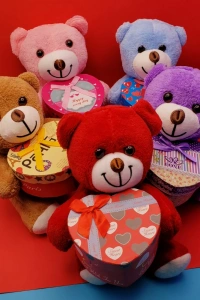 Hediyelik Kutulu Ayıcık