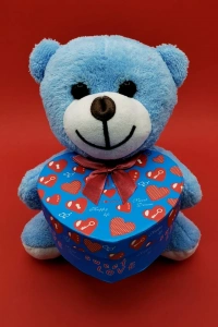 Hediyelik Mavi Kutulu Ayıcık