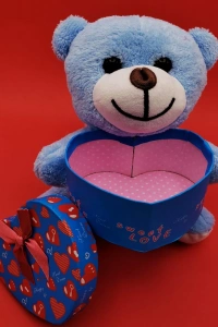 Hediyelik Mavi Kutulu Ayıcık