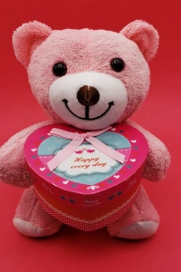 Hediyelik Pembe Kutulu Ayıcık