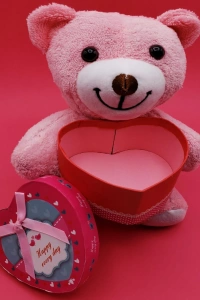 Hediyelik Pembe Kutulu Ayıcık