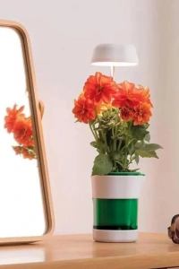 Hızlı Bitki Yetiştirme Saksısı