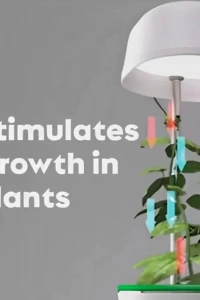 Hızlı Bitki Yetiştirme Saksısı