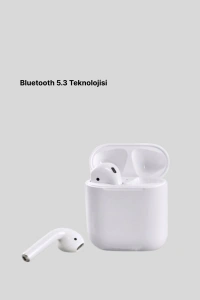 Hızlı Şarj Destekli 2. Nesil Bluetooth 5.0 Ergonomik Kulaklık