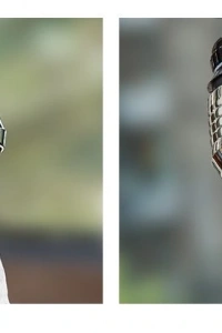 Hortumlu Esnek Su Tasarruflu 2 Modlu Musluk Başlığı