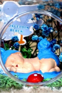 Hoşgeldin Bebek Erkek Elma Teraryum 2