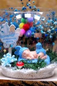 Hoşgeldin Bebek Erkek Teraryum