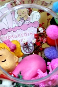 Hoşgeldin Bebek Kız Elma Teraryum