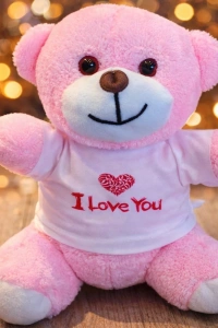 I Love You Tişörtlü Pembe Peluş Ayıcık