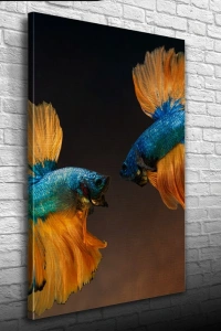 İki Mavi Balık Kanvas Tablo 50 x 70