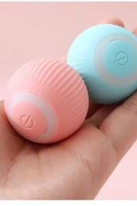 İnteraktif Kedi Köpek Şarjlı Oyun Topu