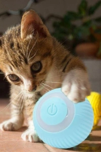 İnteraktif Kedi Köpek Şarjlı Oyun Topu