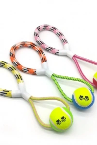 İpli Köpek Oyun Topu