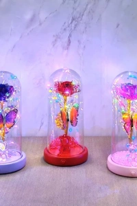 Işıklı Müzikli Romantik Kelebekli Fanus içinde Gül