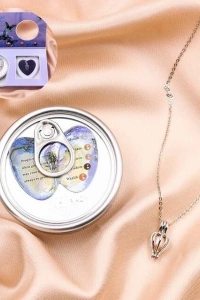 İstridye İçinde İnci Kolye