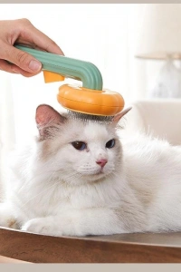 Kabak Tasarımlı Evcil Hayvan Tarağı