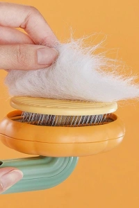 Kabak Tasarımlı Evcil Hayvan Tarağı