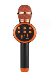 Kablosuz Karaoke Mikrofonu