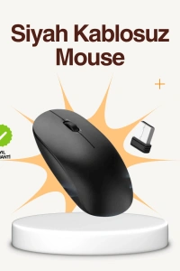Kablosuz Sessiz Mouse – Ayarlanabilir DPI ve USB Bağlantılı