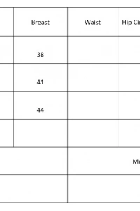 Kadın Uzun Kollu Leopar şeritli Viskon Bluz