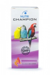 Kanarya Stres Önleyici - Nutri Champion
