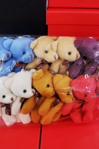 Karışık Renk Ayıcık Anahtarlık