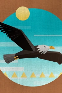 Kartal Figürü Kanvas Tablo 50 x 70