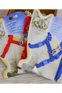 Kedi Boyun ve Göğüs Tasması