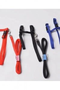 Kedi Boyun ve Göğüs Tasması