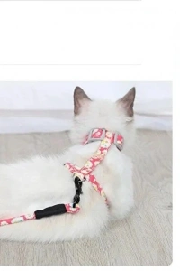 Kedi Gezdirme Göğüs Tasması