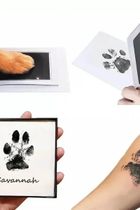 Kedi Köpek Pati İzi Fotoğraf Çerçevesi Seti