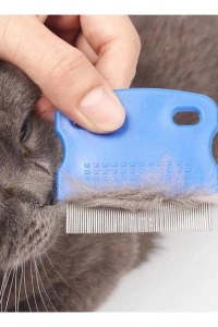 Kedi Köpek Pire Tarağı