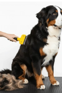 Kedi & Köpekler İçin Tüy Alıcı 7 cm