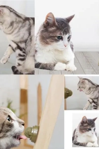 Kedi Nanesi Oyun Topu