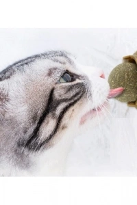Kedi Nanesi Oyun Topu