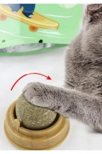 Kedi Nanesi Oyun Topu