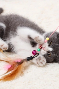 Kedi Oyun Oltası 90 cm