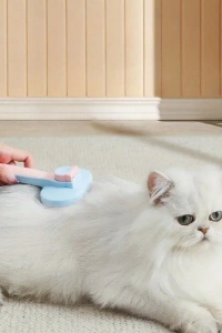 Kedi ve Köpekler İçin Kendini Temizleyen Tüy Fırçası