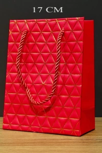 Kırmızı Geometrik Desenli Orta Boy Karton Hediye Çantası