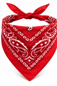 Kırmızı Kovboy Fuları Çocuk Bandana