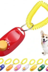 KÖPEK EĞITIMI CLICKER