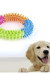 Köpek Isırma Diş Kaşıma Çemberi