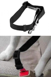 Köpek Tasma Araba Emniyet Kemeri